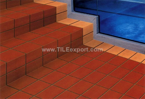 Floor_Tile--Clay_Brick,Red_and_Terra_Cotta_Tile,D-K1210_view