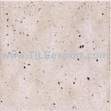 Floor_Tile--Paving_Tile,100X100MM,PE101