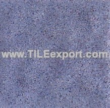 Floor_Tile--Paving_Tile,100X100MM,PE501A