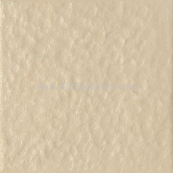 Exterior_Wall_Tile,100X100mm,95110