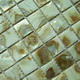 Mosaic--Conch_Shell,Color_List