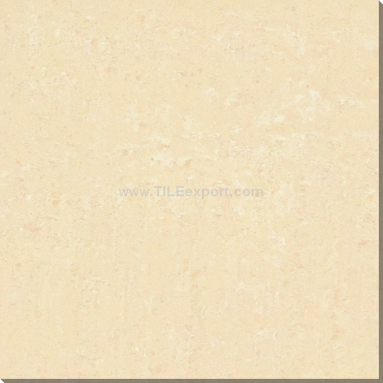 Floor_Tile--Polished_Tile,Double_Loading_Tile,E6010