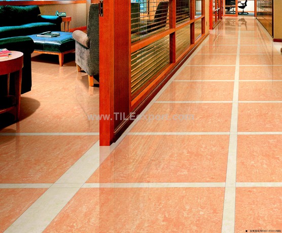 Floor_Tile--Polished_Tile,Double_Loading_Tile,E6901_view