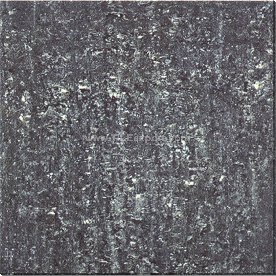 Floor_Tile--Polished_Tile,Double_Loading_Tile,E6918
