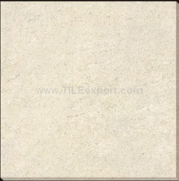 Floor_Tile--Polished_Tile,Frit_Double_Loading_Tile