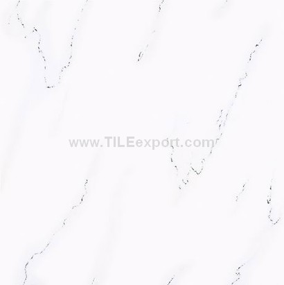 Floor_Tile--Polished_Tile,Snow_White_Tile