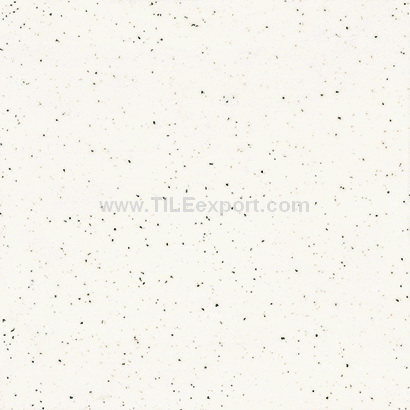 Floor_Tile--Polished_Tile,Snow_White_Tile,JC8205