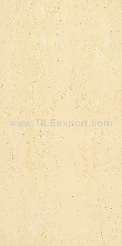 Floor_Tile--Polished_Tile,60X120mm_Polished_Tile,BM2601
