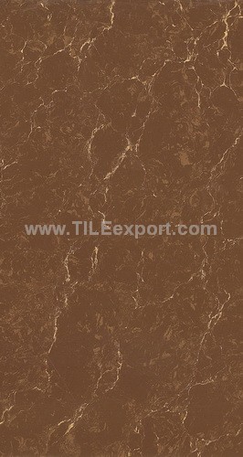 Floor_Tile--Polished_Tile,60X120mm_Polished_Tile,N32606