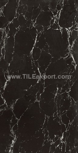 Floor_Tile--Polished_Tile,60X120mm_Polished_Tile,N32607