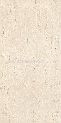 Floor_Tile--Polished_Tile,60X120mm_Polished_Tile,PB2603