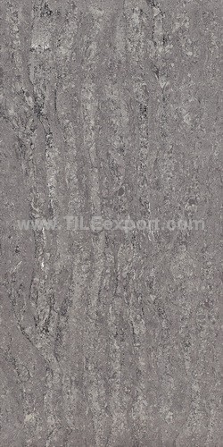 Floor_Tile--Polished_Tile,60X120mm_Polished_Tile,T090420B
