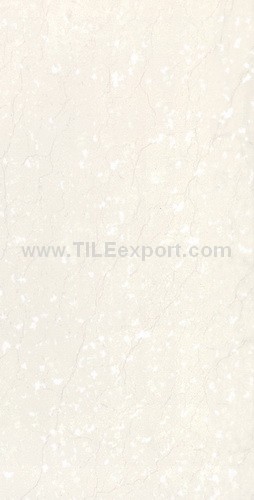 Floor_Tile--Polished_Tile,60X120mm_Polished_Tile,Y12659