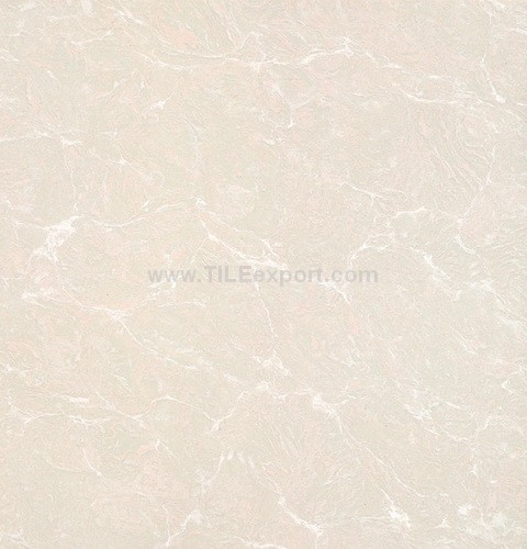 Floor_Tile--Polished_Tile,120X120mm_Polished_Tile,N11202