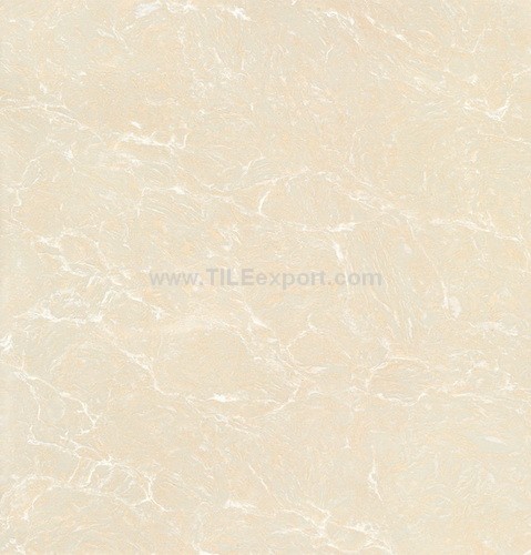 Floor_Tile--Polished_Tile,120X120mm_Polished_Tile,N11203