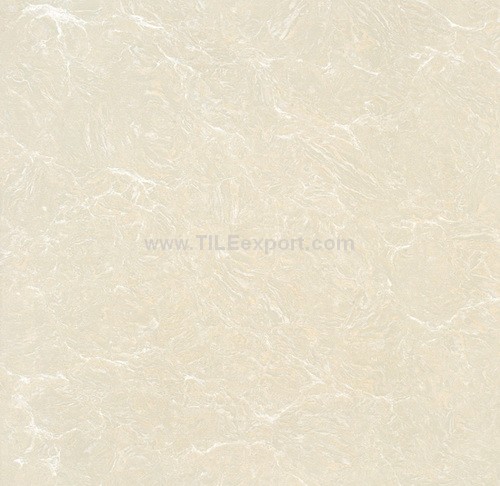 Floor_Tile--Polished_Tile,120X120mm_Polished_Tile,N11204