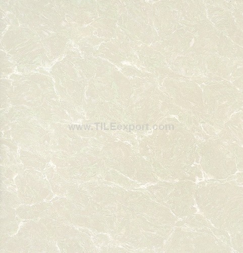 Floor_Tile--Polished_Tile,120X120mm_Polished_Tile,N11205
