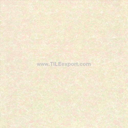 Floor_Tile--Polished_Tile,Pilates_Tile