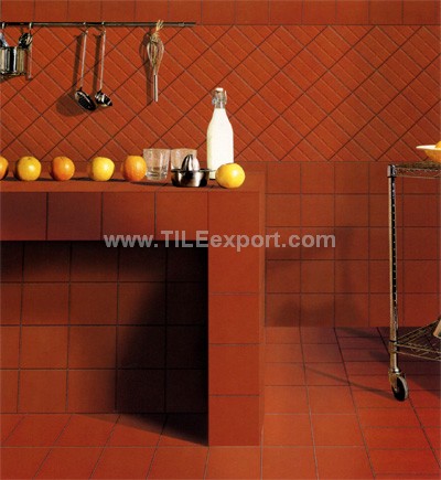 Floor_Tile--Clay_Brick,Red_and_Terra_Cotta_Tile,A-G2010_view