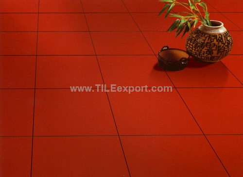 Floor_Tile--Clay_Brick,Red_and_Terra_Cotta_Tile,E-K5010_view2