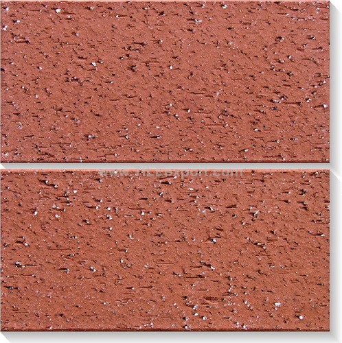 Floor_Tile--Clay_Brick,Split_Tile,FR632