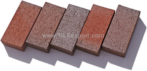 Floor_Tile--Clay_Brick,Split_Tile,FRS6373