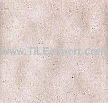 Floor_Tile--Paving_Tile,100X100MM,PE102