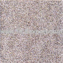 Floor_Tile--Paving_Tile,100X100MM,PE202