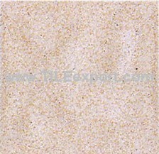 Floor_Tile--Paving_Tile,100X100MM,PE204