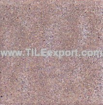 Floor_Tile--Paving_Tile,100X100MM,PE308A