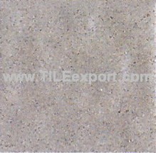 Floor_Tile--Paving_Tile,100X100MM,PE408A