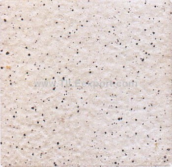 Floor_Tile--Paving_Tile,190X190MM,C101