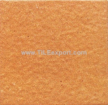 Floor_Tile--Paving_Tile,190X190MM,C301A