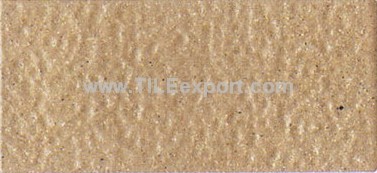 Floor_Tile--Paving_Tile,210X100MM,G307A
