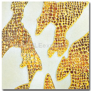 Crystal_Polished_Tile,Polished_Tile,3030056-golden