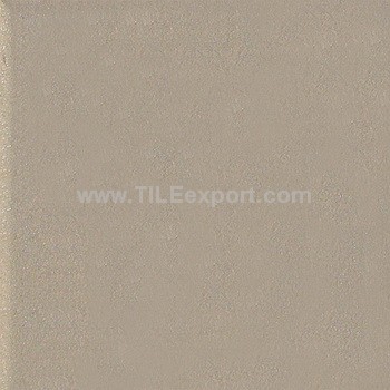 Exterior_Wall_Tile,100X100mm,95005