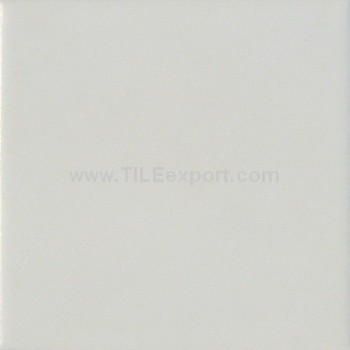 Exterior_Wall_Tile,100X100mm,9705