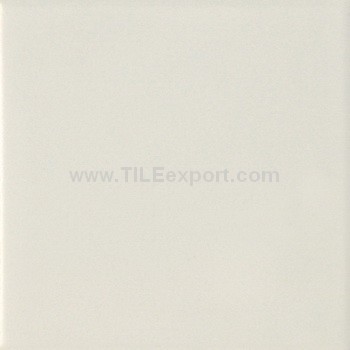 Exterior_Wall_Tile,100X100mm,9711