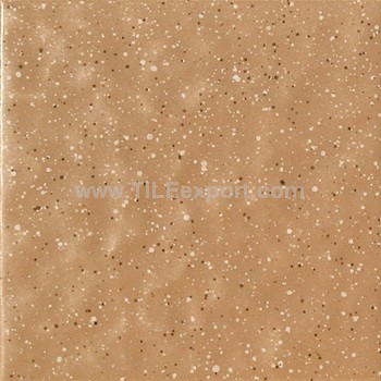 Exterior_Wall_Tile,100X100mm,9769