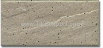 Exterior_Wall_Tile,45X95mm,T95053