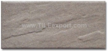 Exterior_Wall_Tile,45X95mm,T95076