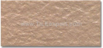 Exterior_Wall_Tile,45X95mm,Y95066