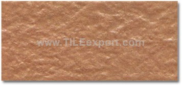 Exterior_Wall_Tile,45X95mm,Y95067