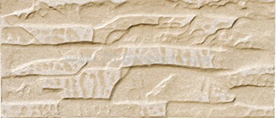 Exterior_Wall_Tile,112X255mm,RC88287