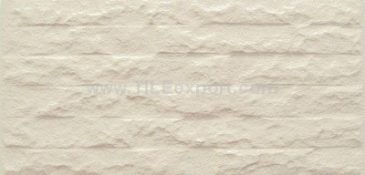 Exterior_Wall_Tile,150X300mm,RC1471