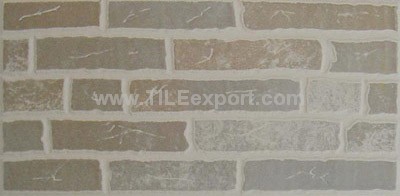 Exterior_Wall_Tile,150X300mm,RC1606