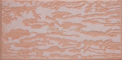 Exterior_Wall_Tile,150X300mm,RC3204