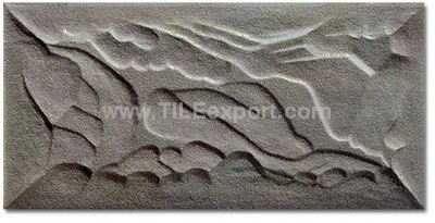 Exterior_Wall_Tile,200X400mm,GB4028