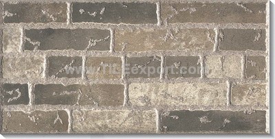 Exterior_Wall_Tile,200X400mm,L24106