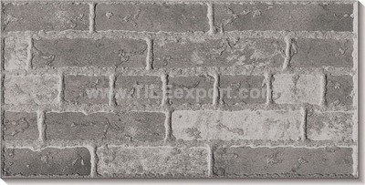 Exterior_Wall_Tile,200X400mm,L24109